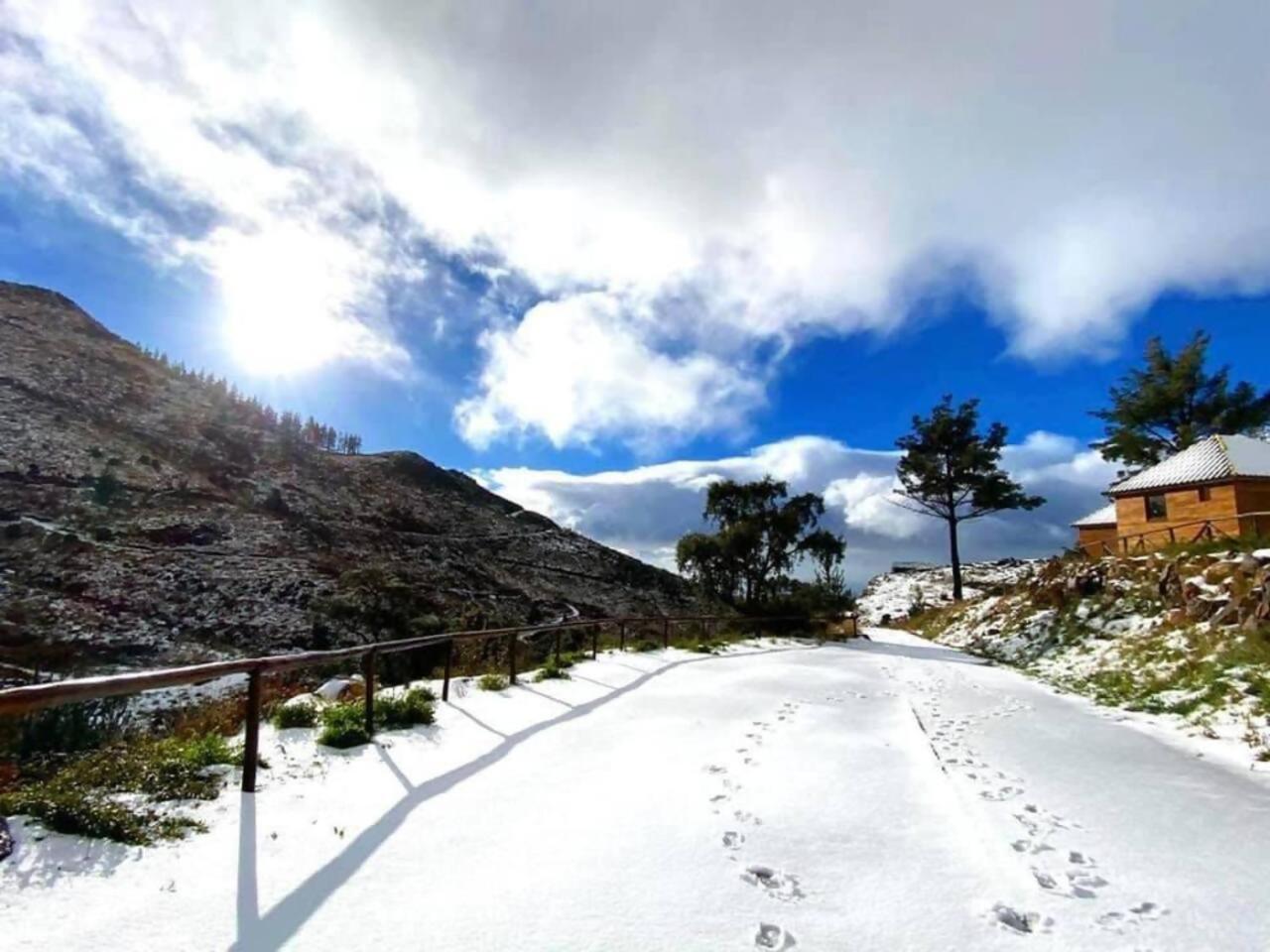 Hotel Mountain Eco Shelter 1 Funchal  Esterno foto